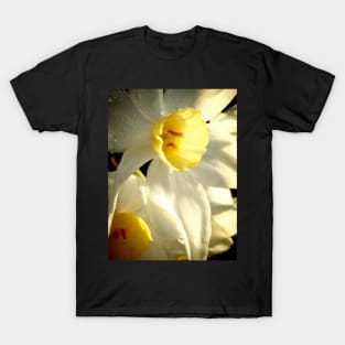 Daffodil Flower T-Shirt